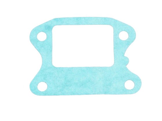 FANCY 50 (1996 - 1996) reed valve gasket | 101 OCTANE