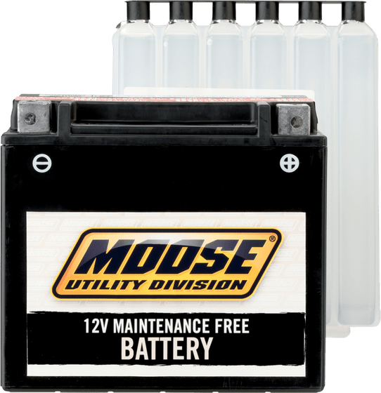 GTS 250 (2005 - 2009) mud battery ytx12-bs | MOOSE UTILITY DIVISION